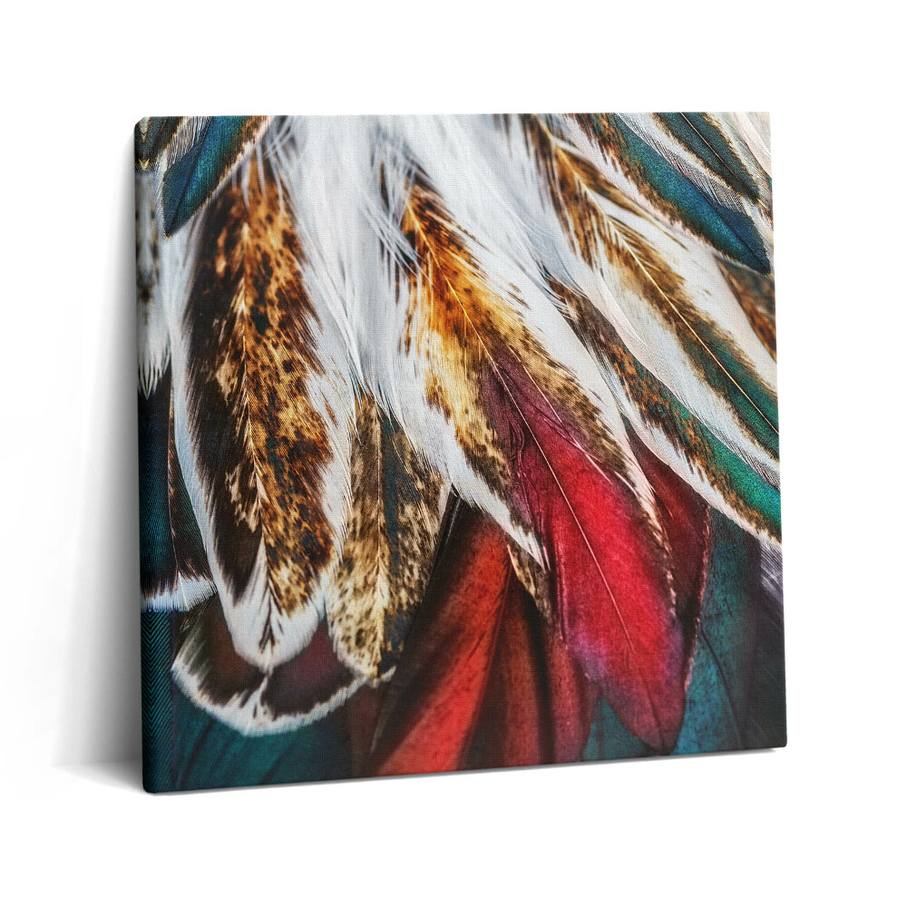 Obraz z fotografie na plátně 60x60 cm Světle hnědé ptačí peří