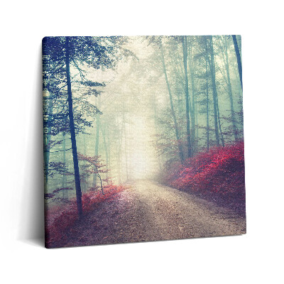 Obraz z fotografie na plátně 60x60 cm Silnice v mlžném podzimním lese