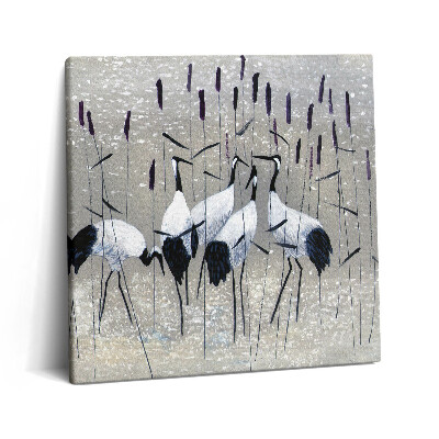 Obraz z fotografie na plátně 60x60 cm Rákosoví jeřábi