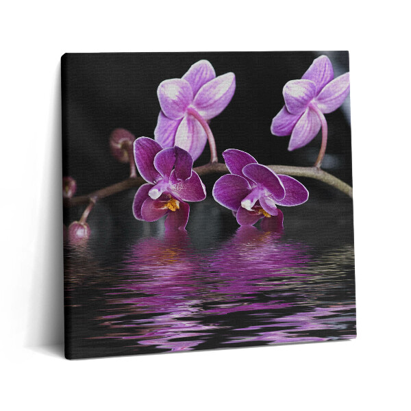 Obraz na plátně 60x60 cm Růžový květ orchideje na vodě