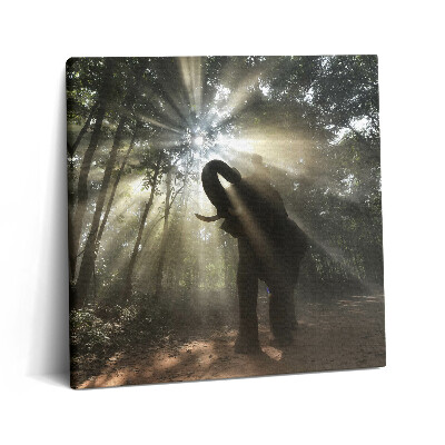 Obraz z fotografie na plátně 60x60 cm Slon v džungli