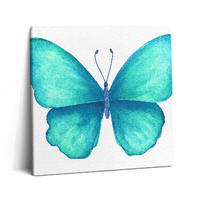 Obraz na plátně 60x60 cm Tyrkysový letní motýl