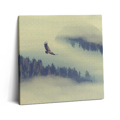 Obraz canvas 60x60 cm Mlžný les a orel