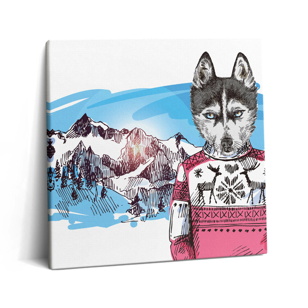 Obraz canvas 60x60 cm Husky ve svetru