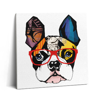 Obraz canvas 60x60 cm Francouzský buldoček s brýlemi