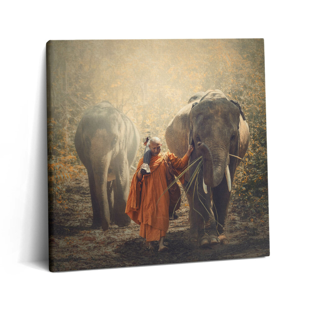 Obraz z fotografie na plátně 60x60 cm Mnich a sloni