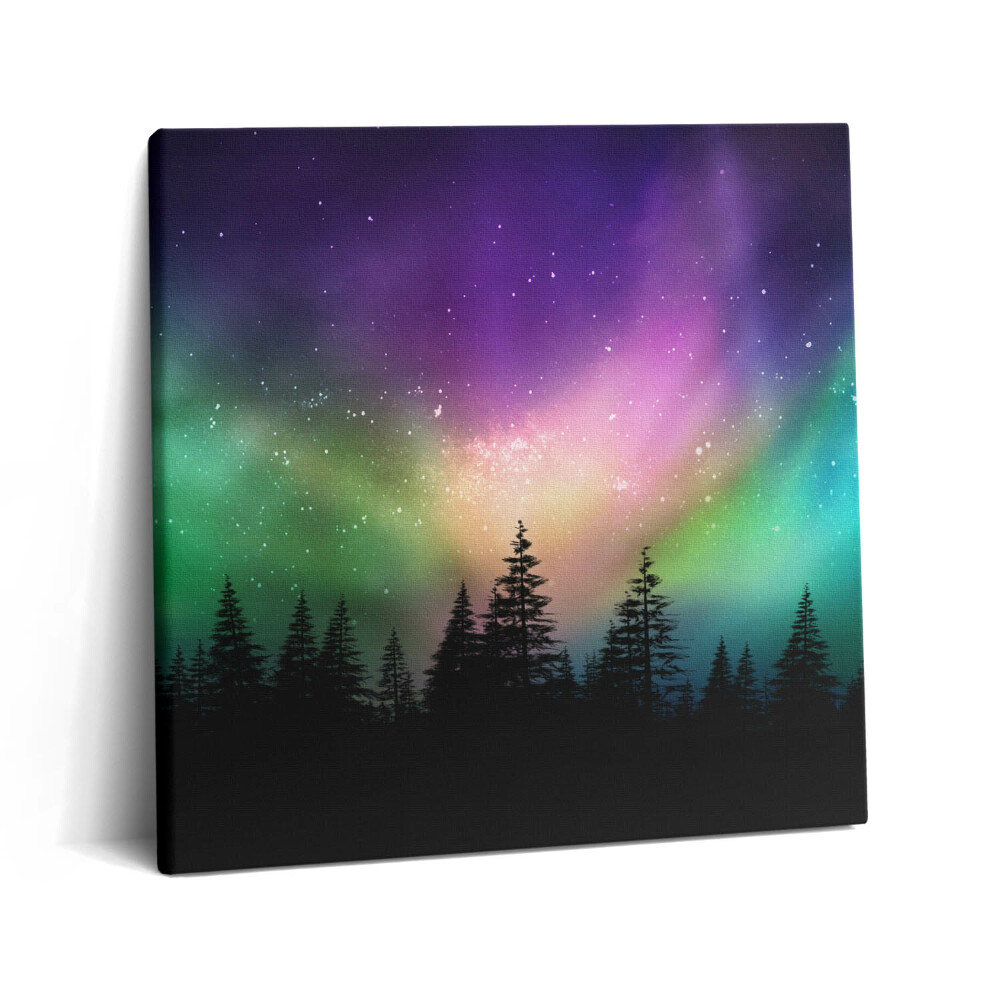 Obraz canvas 60x60 cm Polární záře