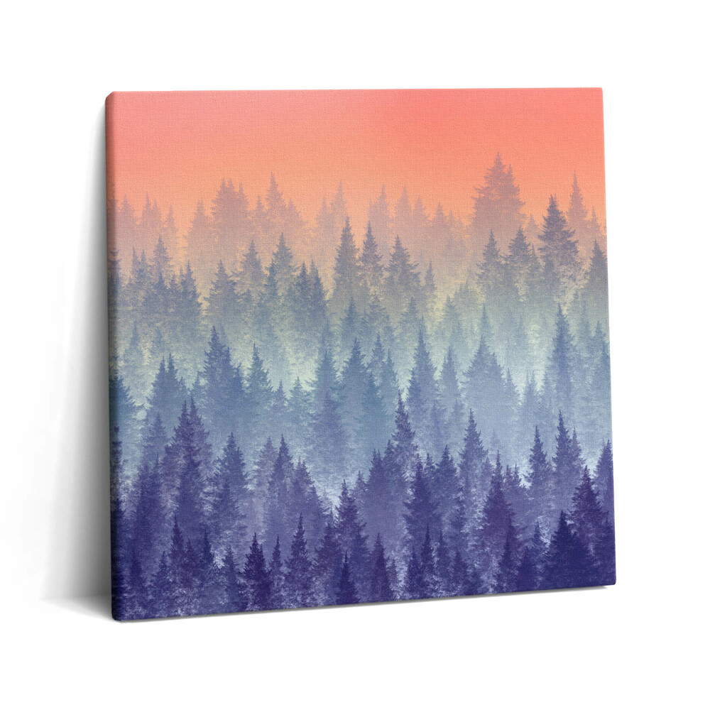 Obraz canvas 60x60 cm Les v mlze
