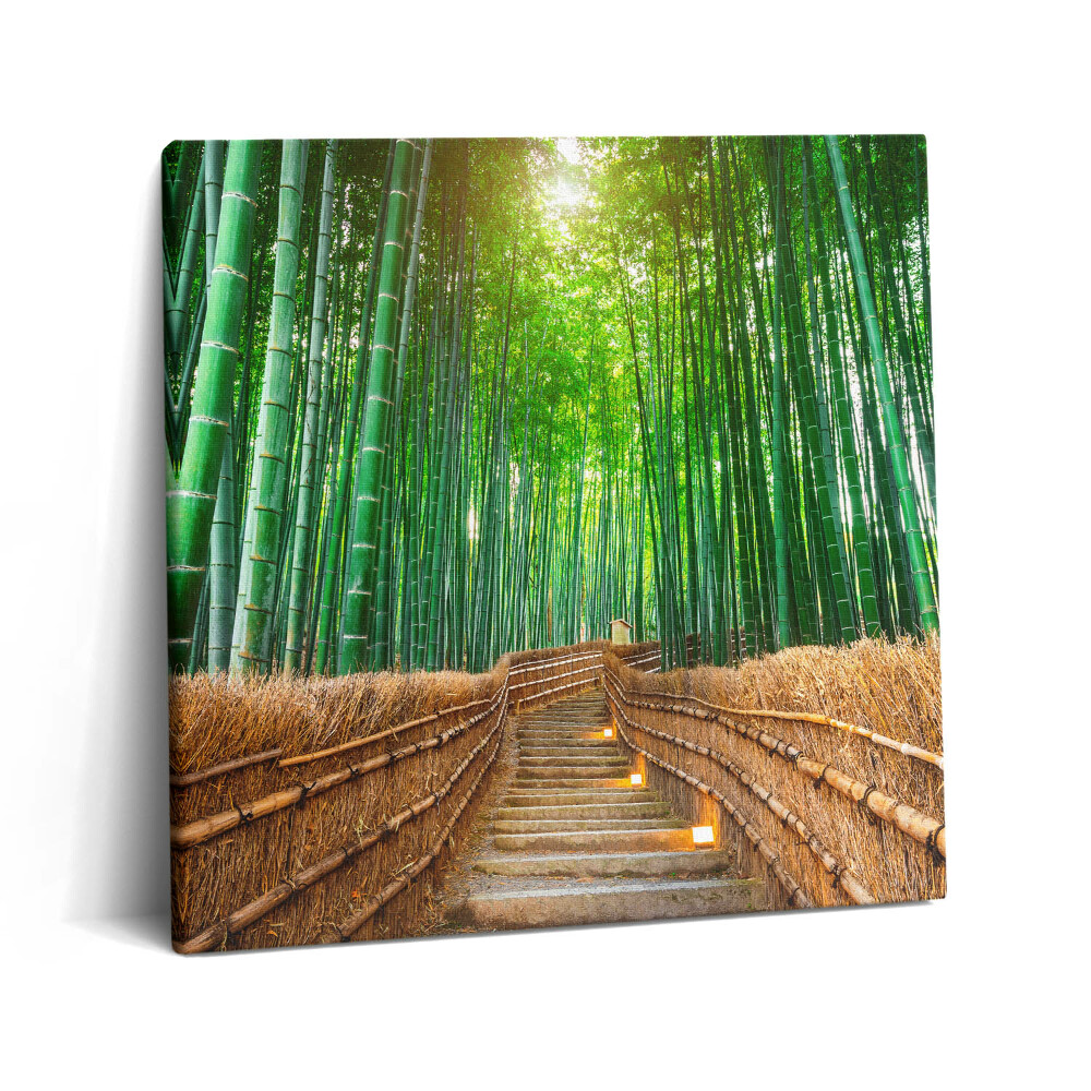 Obraz na plátně 60x60 cm Cesta v bambusovém lese