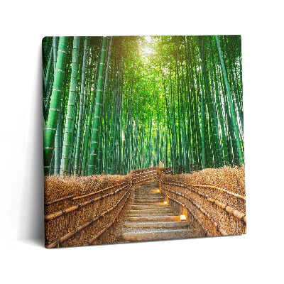 Obraz na plátně 60x60 cm Cesta v bambusovém lese