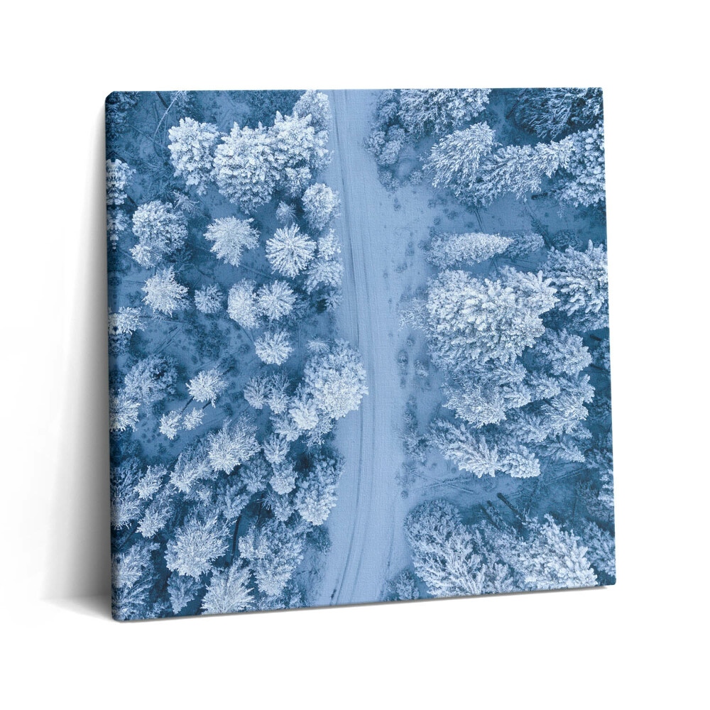 Obraz na plátně 60x60 cm Les z ptačí perspektivy. Drony