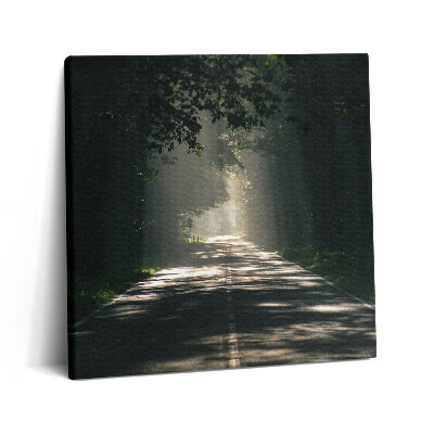 Obraz z fotografie na plátně 60x60 cm Lesní cesta a pruhy slunečního světla