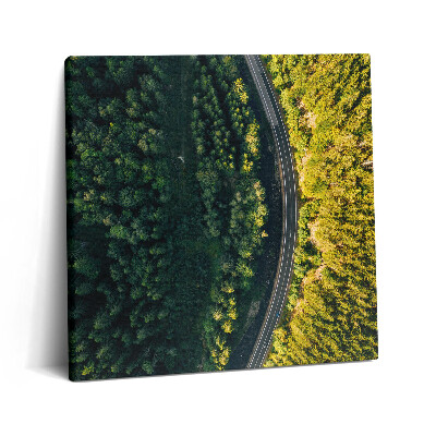 Obraz canvas 60x60 cm Les z dronu - Sněžka