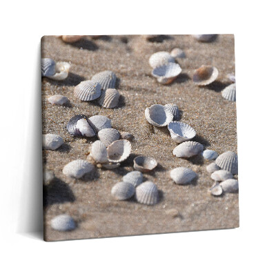 Obraz z fotografie na plátně 60x60 cm Mušle na pláži