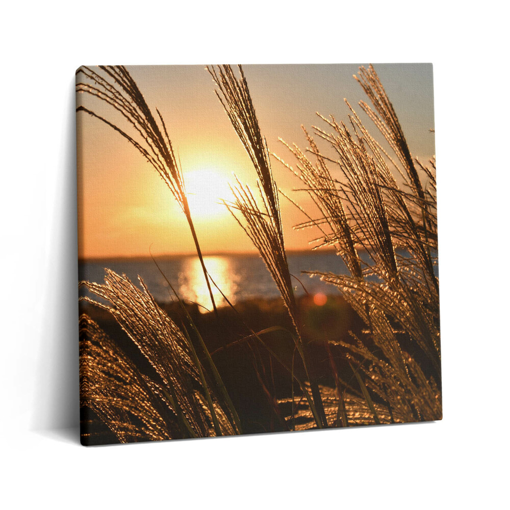 Obraz canvas 60x60 cm Pšenice ve zlaté hodině