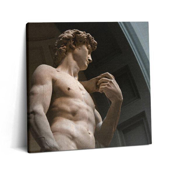 Obraz z fotografie na plátně 60x60 cm Socha Davida - Michelangelo