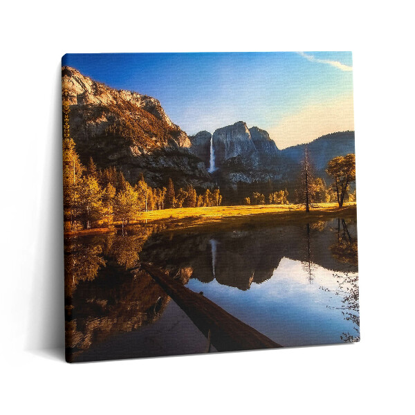 Obraz na plátně 60x60 cm Les v Yosemitském parku