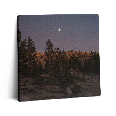 Obraz na plátně 60x60 cm Skalnatá cesta v Yosemitech