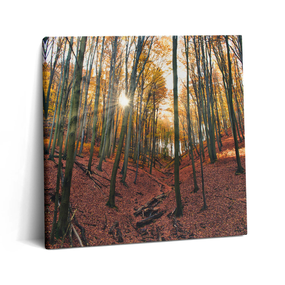 Obraz z fotografie na plátně 60x60 cm Západ slunce a stromy