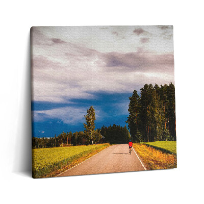 Obraz na plátně 60x60 cm Uklizená cyklostezka