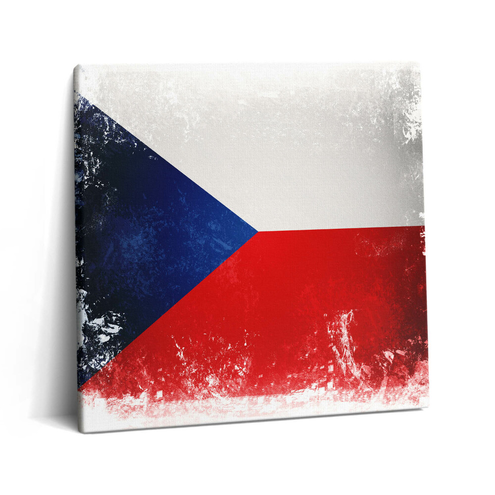 Obraz na plátně 60x60 cm Česká vlajka