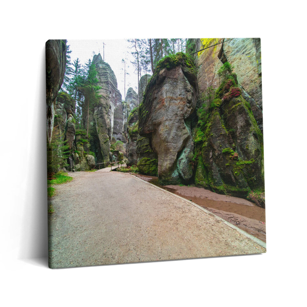 Obraz na plátně 60x60 cm Skalní město v České republice