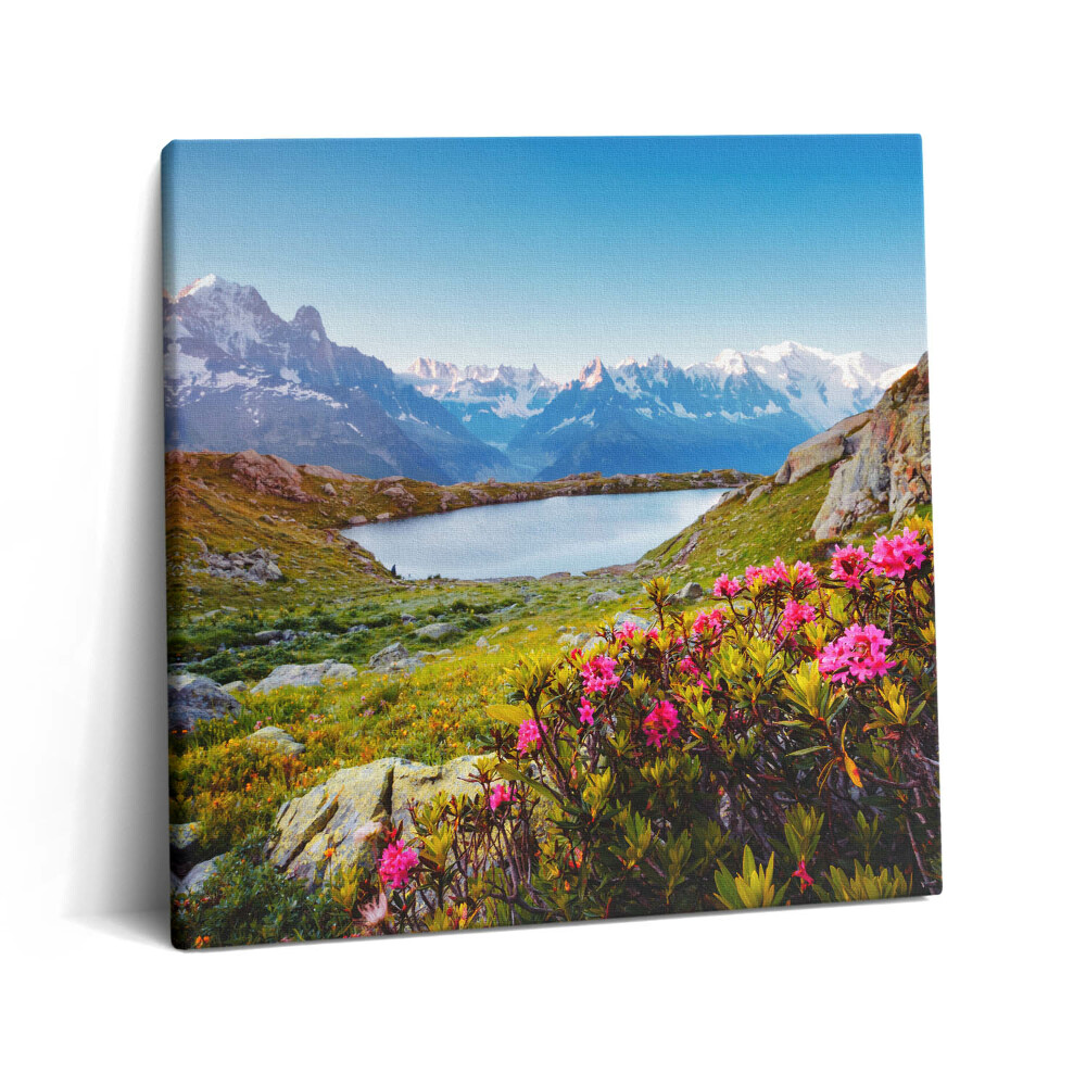 Obraz na plátně 60x60 cm Ledovec Mont Blanc Chamonix