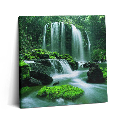 Obraz z fotografie na plátně 60x60 cm Kaskáda mezi mechy