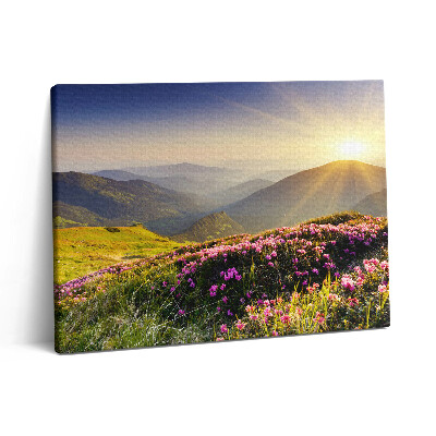 Obraz z fotografie na plátně 80x60 cm Hory a louka s květinami