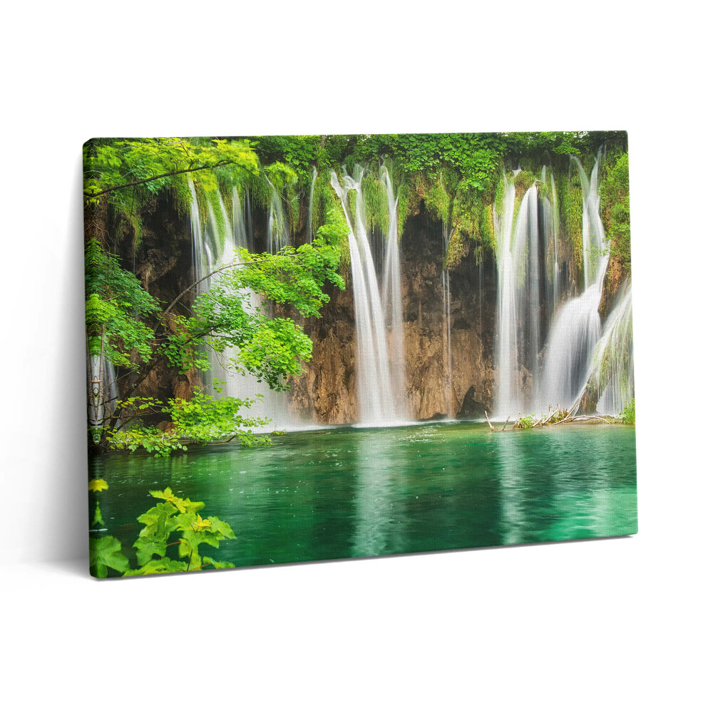 Obraz z fotografie na plátně 80x60 cm Příroda - vodopád a jezerní vegetace