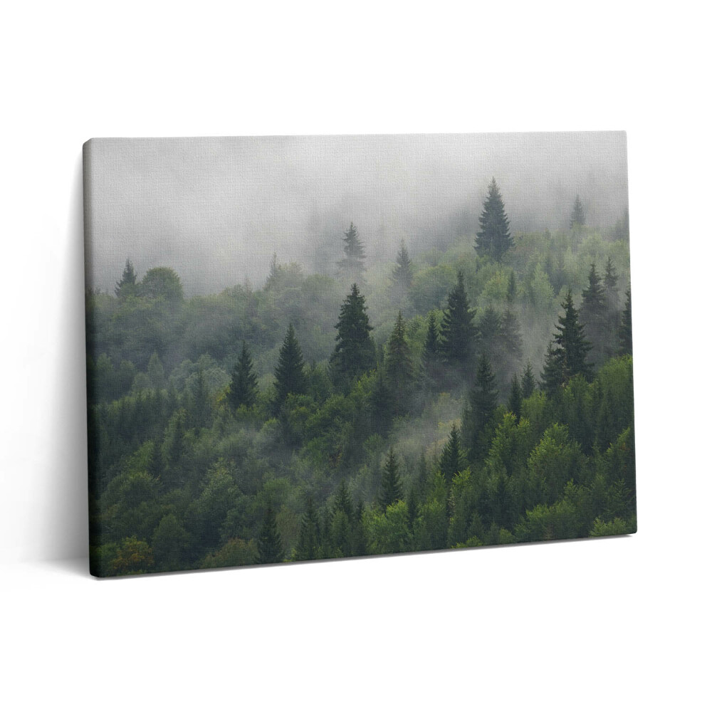 Obraz canvas 80x60 cm Lesní krajina v mlze