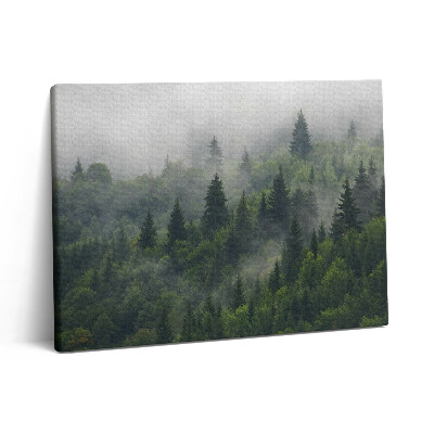 Obraz canvas 80x60 cm Lesní krajina v mlze
