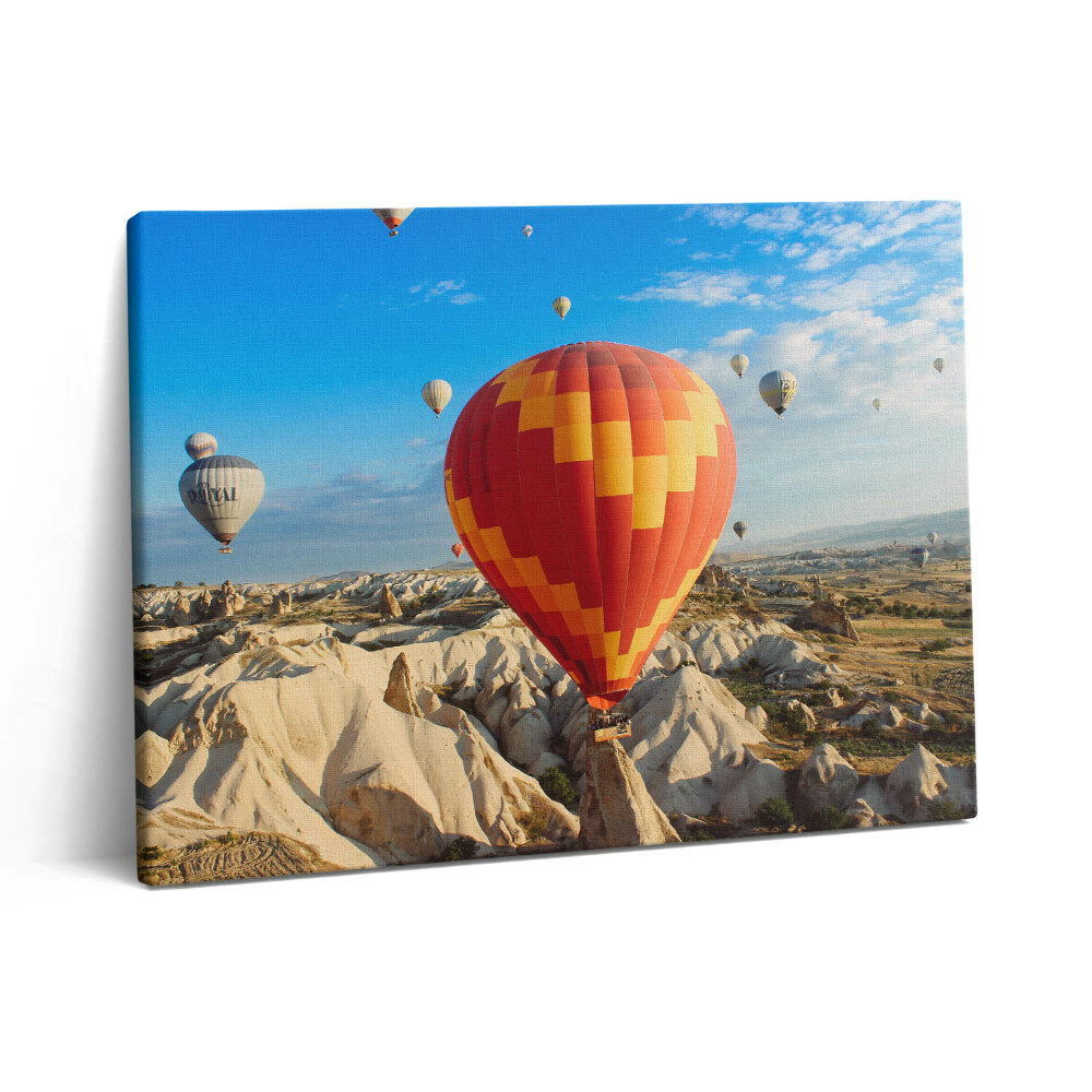 Obraz canvas 80x60 cm Létající balóny