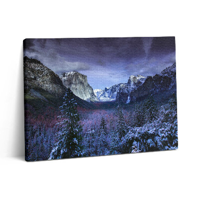 Obraz na plátně 80x60 cm Zimní krajina hor a lesů