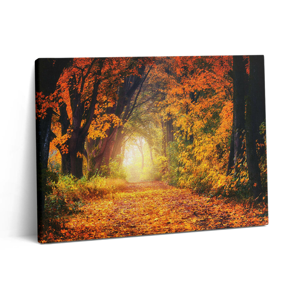 Obraz canvas 80x60 cm Lesní tunel z podzimního listí