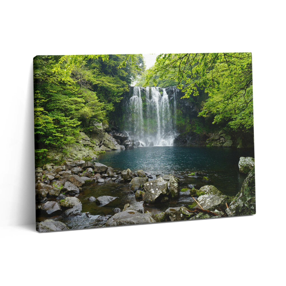 Obraz z fotografie na plátně 80x60 cm Vodopád a řeka mezi stromy