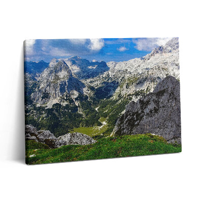 Obraz canvas 80x60 cm Krajina skalnatých hor