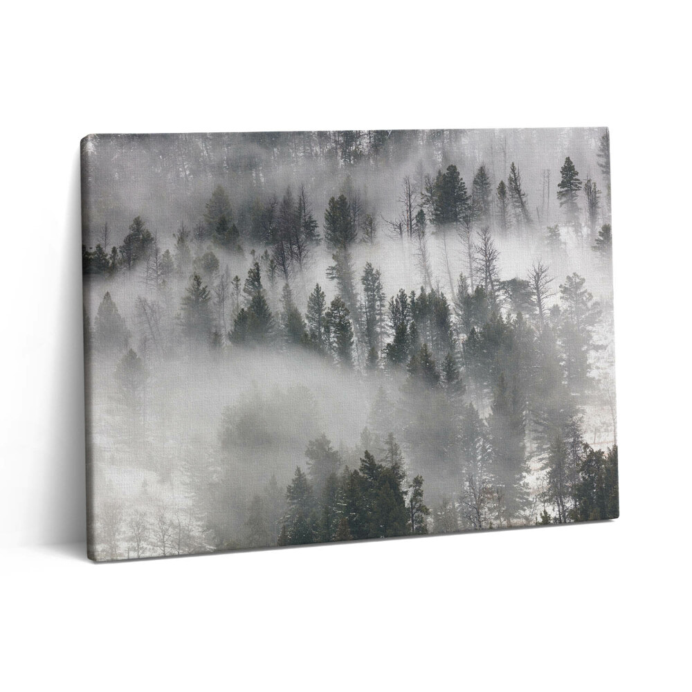 Obraz canvas 80x60 cm Mlhavá krajina v lese