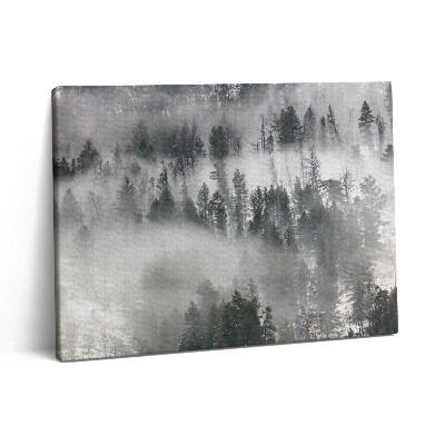 Obraz canvas 80x60 cm Mlhavá krajina v lese
