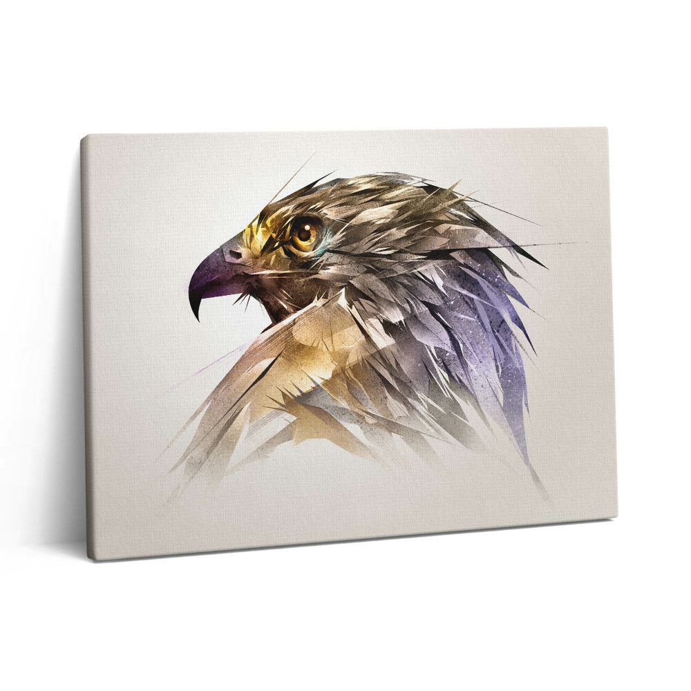 Obraz z fotografie na plátně 80x60 cm Královský dravý pták