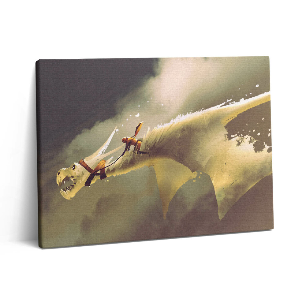 Obraz z fotografie na plátně 80x60 cm Ilustrace dračího jezdce