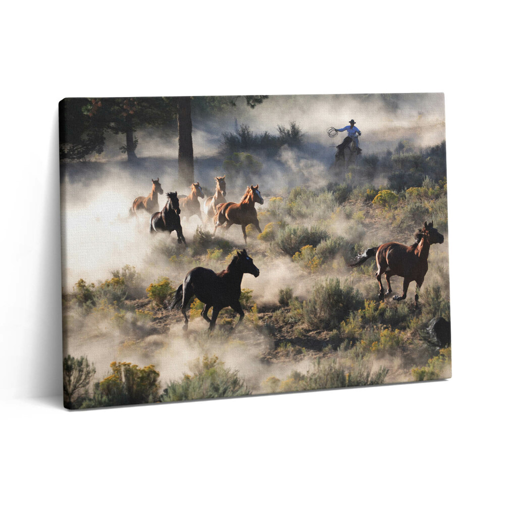 Obraz na plátně 80x60 cm Stádo cválajících koní