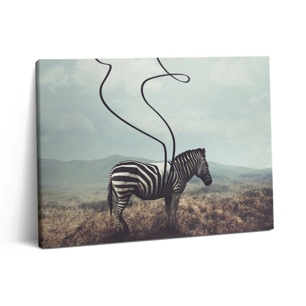 Obraz z fotografie na plátně 80x60 cm Ilustrace s pruhy zebry