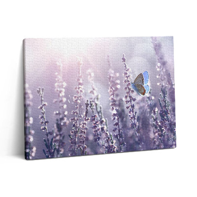 Obraz canvas 80x60 cm Motýl na polních květinách