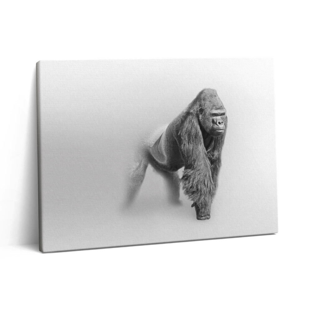 Obraz canvas 80x60 cm Sbírka uměleckých děl z divoké přírody