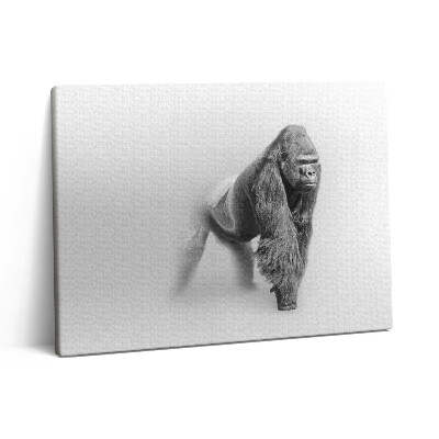 Obraz canvas 80x60 cm Sbírka uměleckých děl z divoké přírody