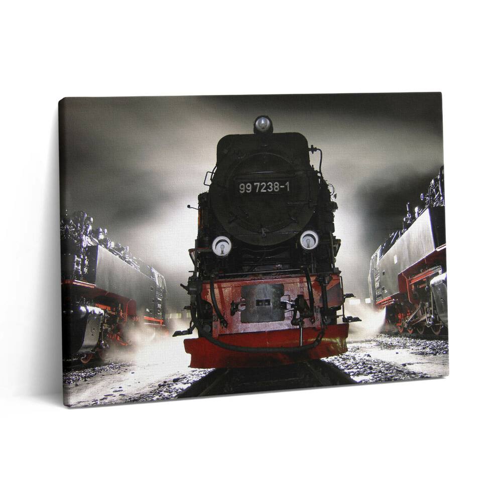 Obraz z fotografie na plátně 80x60 cm Lokomotivy v noci