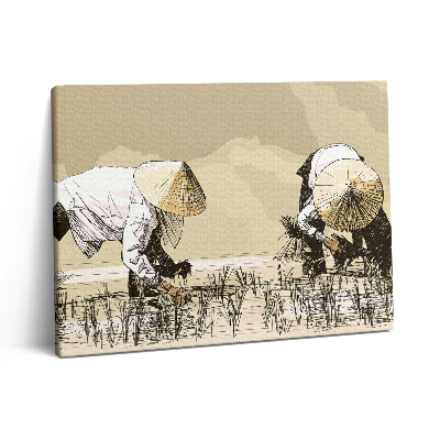 Obraz canvas 80x60 cm Dvě ženy sbírající rýži v Asii