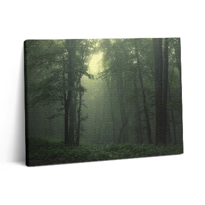 Obraz na plátně 80x60 cm Mlžný les po ránu