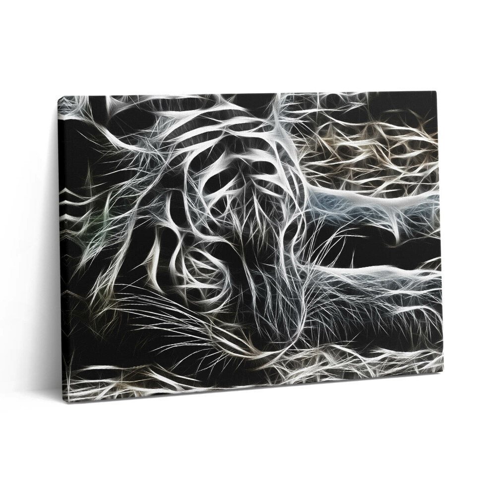 Obraz z fotografie na plátně 80x60 cm Abstraktní tygří vzor